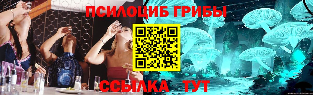 Галлюциногенные грибы Magic Shrooms Партизанск